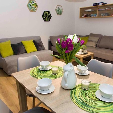 Apartament Grapa Zywiec Ngoại thất bức ảnh