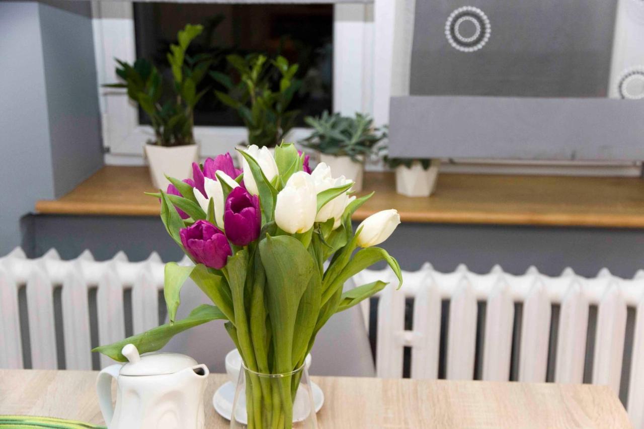 Apartament Grapa Zywiec Ngoại thất bức ảnh